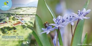 APiculture